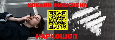 шишки Можга