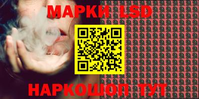 шишки Можга