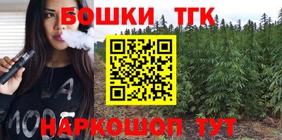 шишки Можга