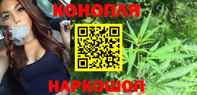 шишки Можга