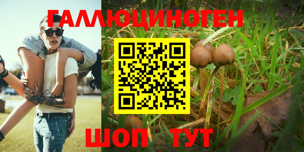 Дедовск  Псилоцибиновые грибы MAGIC MUSHROOMS  Псилоцибиновые грибы Psilocybe  Вход с VPN 